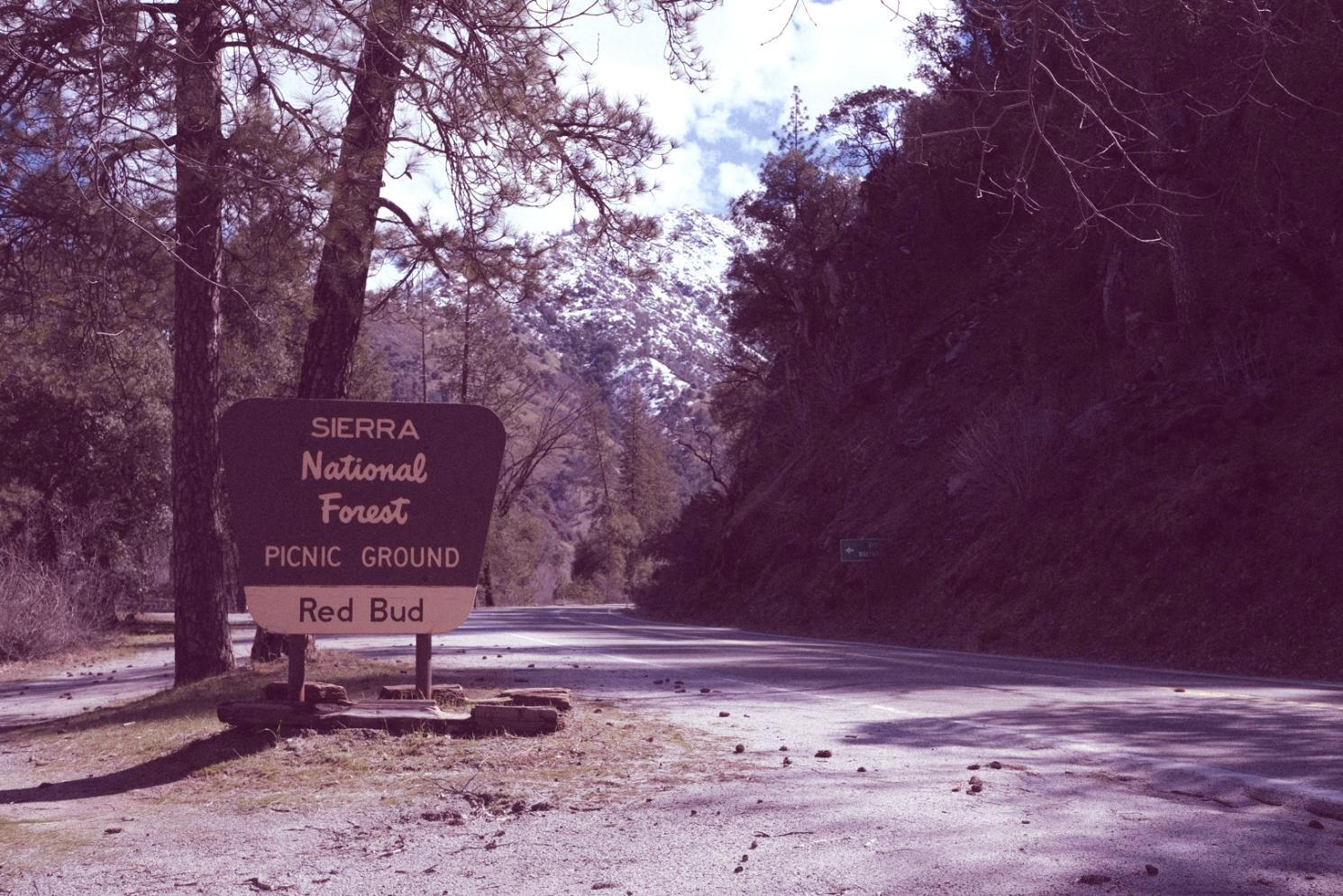 Sustainable travel planning session with environmental impact assessment materials